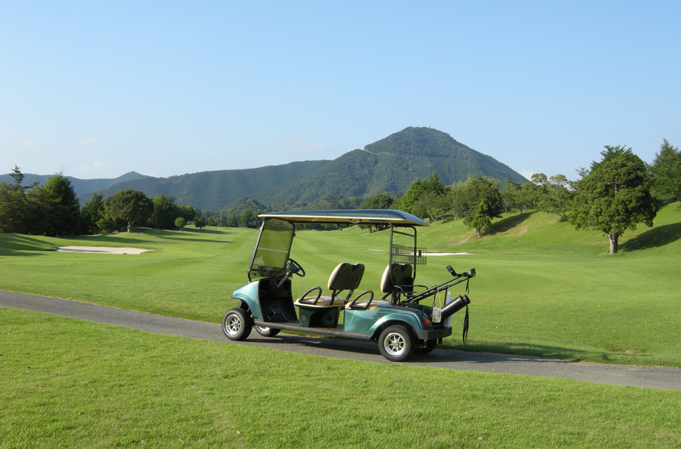 Electric Cargo Tricycle Motor 1500W 2000W 2200W | High Efficiency BLDC Motor-Jining Huanzhongyu Machinery and Electronic Co., Ltd